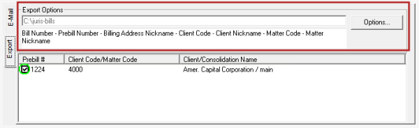 Export option selections displayed in Billing\Export & E-Mail Bills window
