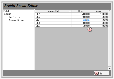 Prebill Recap Editor for expenses window