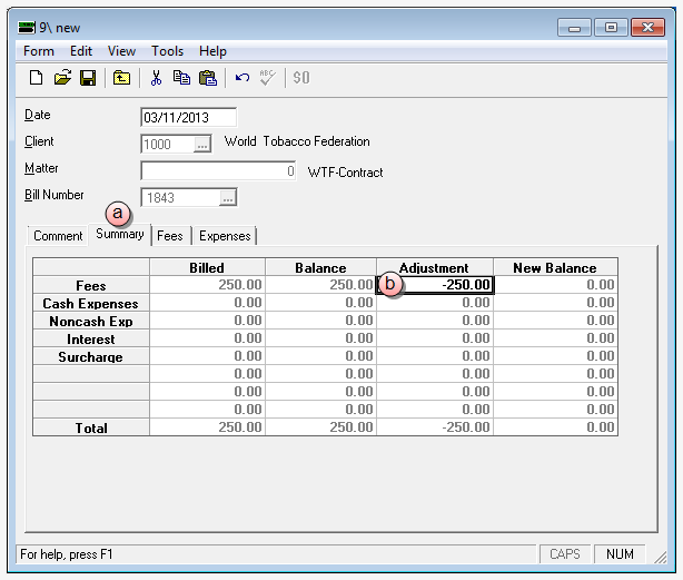 Credit memo Summary tab window
